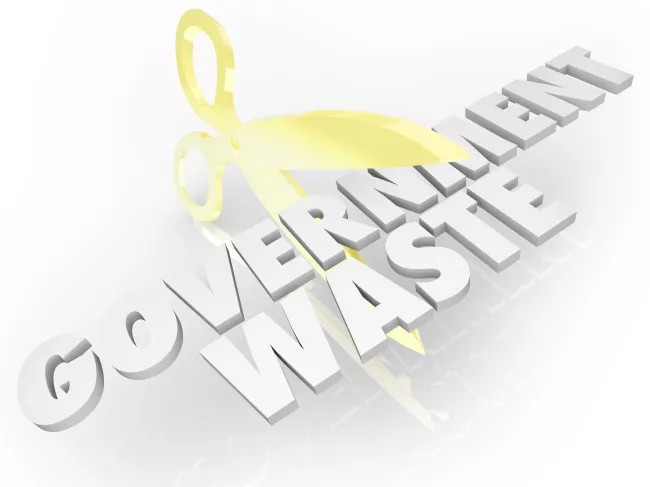 Government waste
